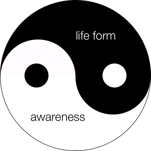 Inspiration and Enlightenment Ying Yang Awareness Life Form
